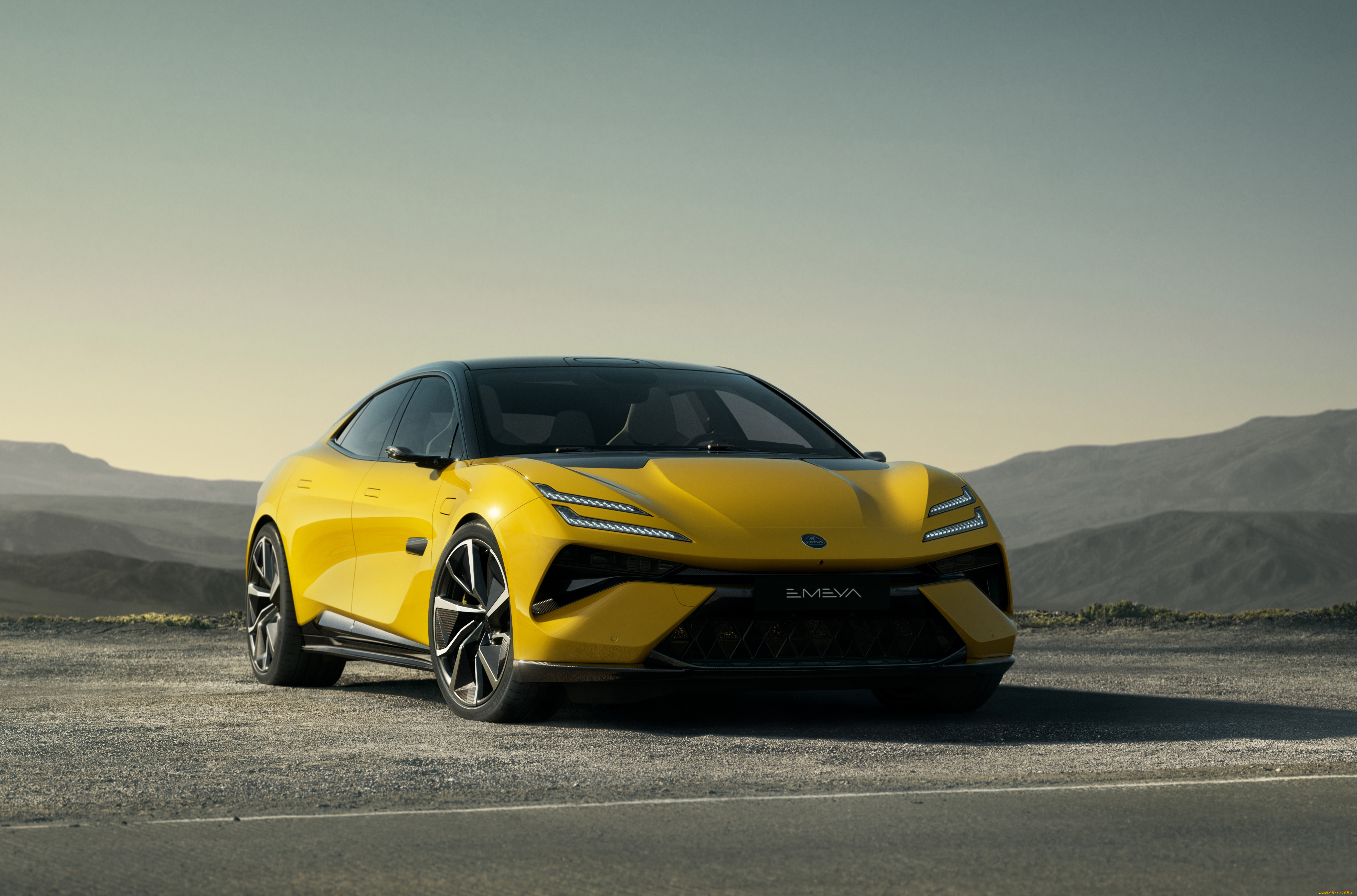 , lotus